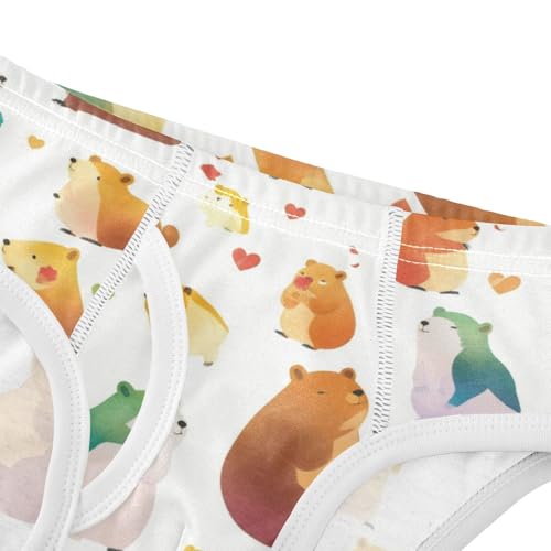 Celebrate Holiday Canada Day Beavers Elements Toddler Boys' Pure Cotton Kids Underwear Breathable Children Panties4