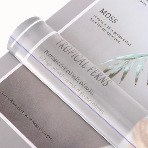 Regla de aumento acrílica PLAFOPE de 16 cm transparente para proyectos manuales y planos 3