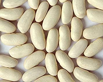 Bean-White Kidney bean Cannellini Bean-200 Seeds !