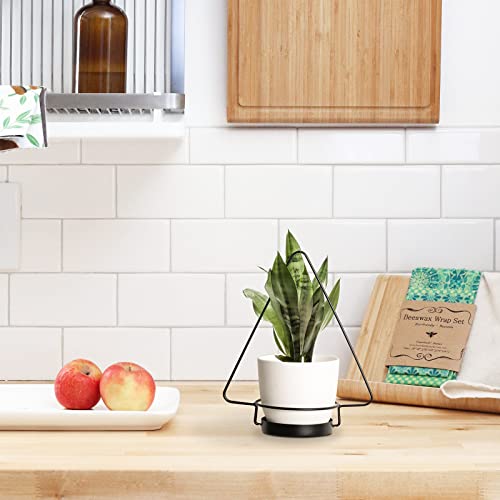 Jofamy Hanging Planters For Christmas Plants With 3 White Plastic Planters, Wall Hanging Basket Metal Plant Hangers, Window Plant Hanger With Hook And String, Modern Outdoor Wall Planter #TOP6