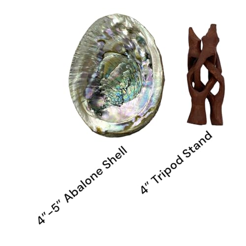 NessaStores Abalone Shell 4-5 Inches & Tripod Stand 4 Inches | Beautiful All Natural Smudge Bowl - Perfect for Smudge Sticks, Incense and a Sage Kit. JC-211-B - Image 2