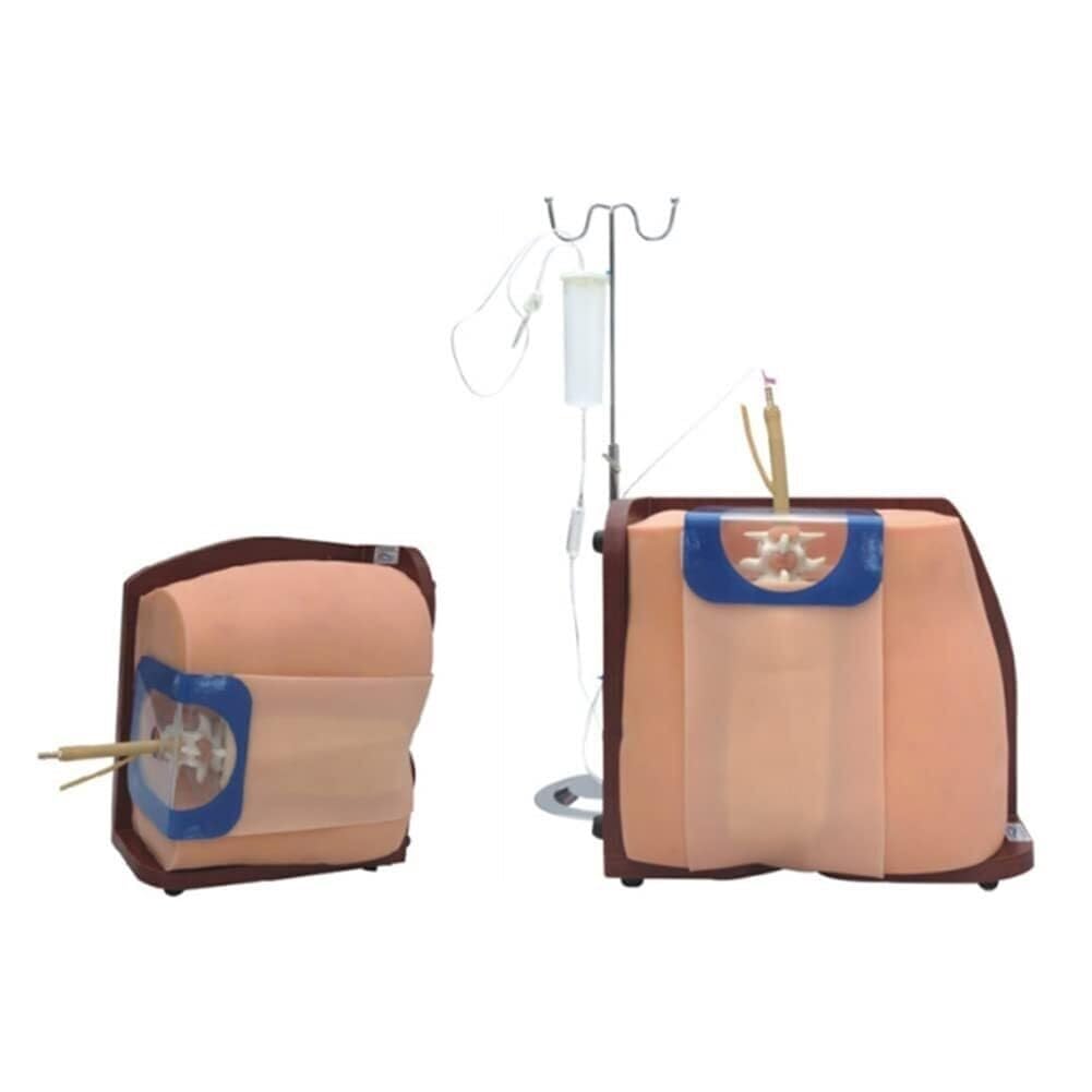 Spinal and Epidural Anesthesia Clinical Training Model Spine Puncture Training Model