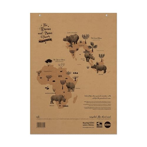 Rhino A1 Recycled Flip Chart Paper Pad, 80-Page / 20mm Squared Paper, 1-Pack, 40-Leaf, Office & School Stationery Supplies