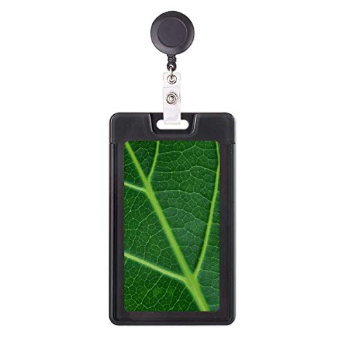 Porte-badge rétractable vert foncé végétal fini les badges perdus