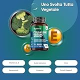 Zoom IMG-1 collagene vegano e acido ialuronico Zoom IMG-1 collagene vegano e acido ialuronico