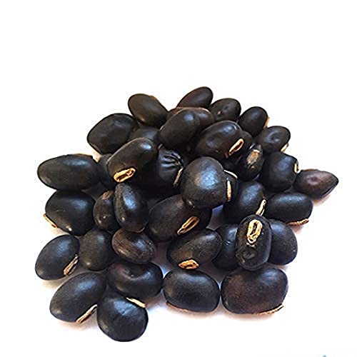 Image of Mewar Impex Black Kaunch Beej, 400 gm Konch Seed, Kala Koch Ke Beej, Alkushi, Kauch, Mucuna Pruriens, Velvet Beans, Kapikachhu, Cowitch, Cowhage (Black Kaucha Whole-250)