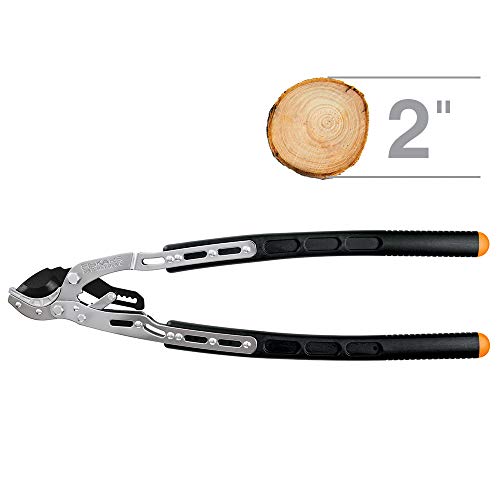 https://m.media-amazon.com/images/I/41bJWwNBotL._SL500_.jpg