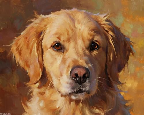 Pintura por números adultos Golden Retriever lienzo numerado WUIVCTR 16x20 cuadros para pintar