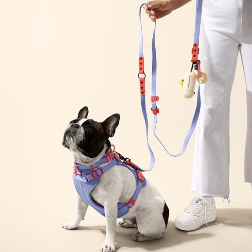 THE LICKER Store HNS1001E Arlo Small Adjustable Soft Padded No Pull Pet Harness with 3 Buckles and 3 Leash Clips, Sangria by THE LICKER STORE - Image 2