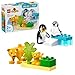 Produktbild LEGO DUPLO Wildtier-Familien: Pinguine und Löwen  Spielzeug zur Förderung der Feinmotorik für Mädchen & Jungen ab 2 Jahren  Lernspielzeug für Kleinkinder mit 4 Tierfiguren  Geschenkidee  10442