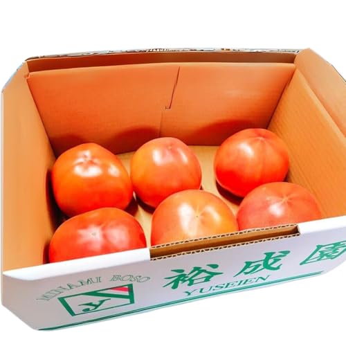 裕成園 遠赤外線で育てた高糖度トマトLサイズ 約3.8kg 1箱(約18〜20個入)