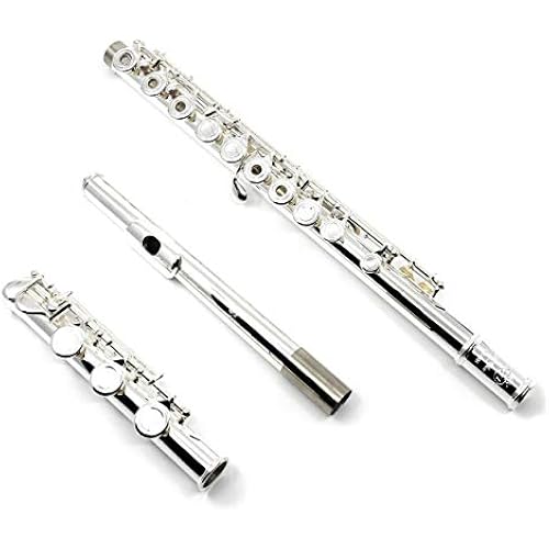 The Di Zhao Flute Model 300 - offset G, DZ-300 (New)