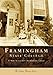 Framingham State College (MA) (Campus History Series)