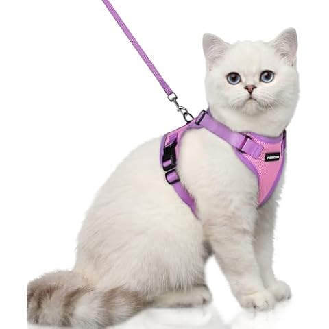rabbitgoo Cat Harness and Leash Set Cover