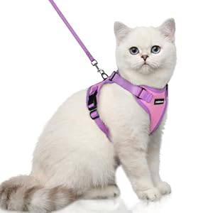 rabbitgoo Cat Harness and Leash Set, Escape Proof Soft Adjustable Vest Harnesses for Outdoor Walking, Easy Control Breathable Kitten Jacket with Reflective Strips, Pink & Purple, XS