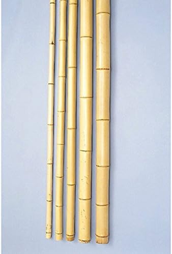 Amazon.co.jp: 銘竹 晒竹(真竹) 湯抜き 6.5尺×0.9寸 1本 : DIY・工具・ガーデン