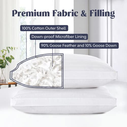 puredown Goose Feather and Down Hotel Collection Pillows #TOP27