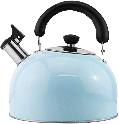 Théière en acier inoxydable SHISHI durable 4L haute résistance