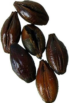 Malt - Black Patent Malt - 1 lb