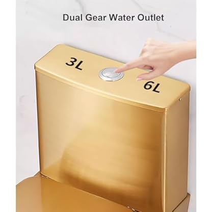 WXXZCE Stand Wc mit Spülkasten, Stand Wc Aus Edelstahl 304, Wc Set Komplettset, Toilette Siphon-Spülung, Geruchs- und Blockierungsfrei, für Zuhause, Einkaufszentrum, Bar, Gold – Bild 6