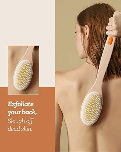 Shower Brush, Bymore Dry Brushing for Body Cellulite and Lymphatic, Dry Skin Long Handle Body Brush Natural Bristle Exfoliator Scrubber for Bath Shower Wash Brushing Exfoliating Legs and Back - Thumbnail 2