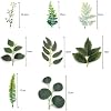 OrgMemory 48 Feuilles Artificielles Eucalyptus - Plantes Deco 8 Types Pour Arrangement Floral