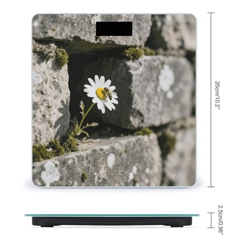 Báscula digital de baño con diseño flores Daisy miniatura 2