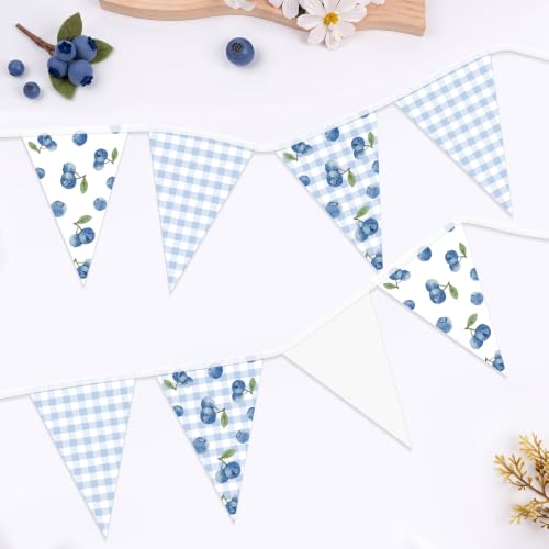 Pasimy 60 Pieces Blueberry Pennant Banner 49.21 ft Blue Gingham Flags by Pasimy - Used condition - US$11.79
