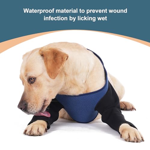 Dog Sleeves for Wounds Front Legs ,Cone Collar Alternative, Abrasion Resistant Dog Recovery Sleeve, Washable 2.5mm Thick and Waterproof, Breathable Pet Wounds Prevent Licking, Bite Blue (Small) Dog Sleeves for Wounds Front Legs ,Cone Collar Alternative, Abrasion Resistant Dog Recovery Sleeve, Washable 2.5mm Thick and Waterproof, Breathable Pet Wounds Prevent Licking, Bite Blue (Small)