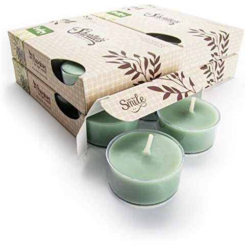 Bayberry Fir Tealight Candles Bulk Pack (24 Green Highly Scented Tea Lights) - Made with Natural Oils - Clear Cup for Beautiful Candlelight - Christmas & Holiday Collection Cover