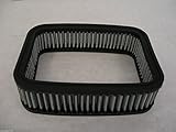 AIR FILTER ELEMENT FITS WEBER DGV DGEV 1 3/4