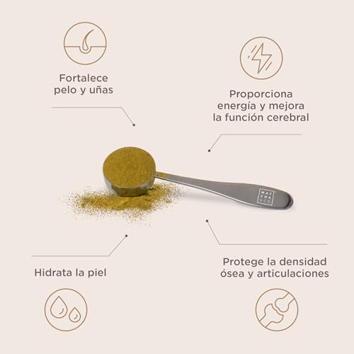 Colágeno con ácido hialurónico y magnesio de chocolate para frenar el desgaste articular 3
