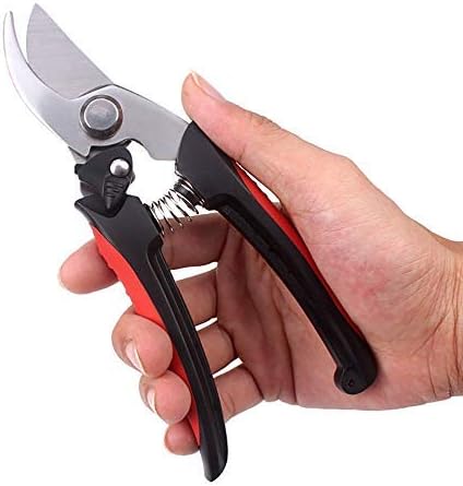 Secateurs Professional Pruning Shears Scissors Tree Ratchet Grafting Cutter Garden Lopper Bonsai Tools Hand Pruner Secate
