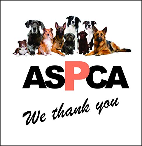 Borzoi Dog Breed Is The Headshot Image On The Polished Chrome Watch With Leather Strap And Donation To Aspca #TOP2