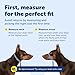 PetSafe Gentle Leader Headcollar No-Pull Dog Collar - Helps Improve Walks - Durable Nylon Construction - Padded Nose Loop - Adjustable Fit - Comfort Walking Halter - Medium, Black