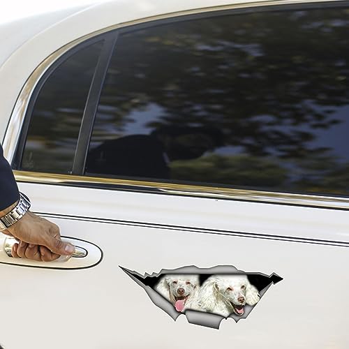 Decalques da rachadura do carro Adesivos para estimação, Adesivos para Vidros Carros, Decalques pare