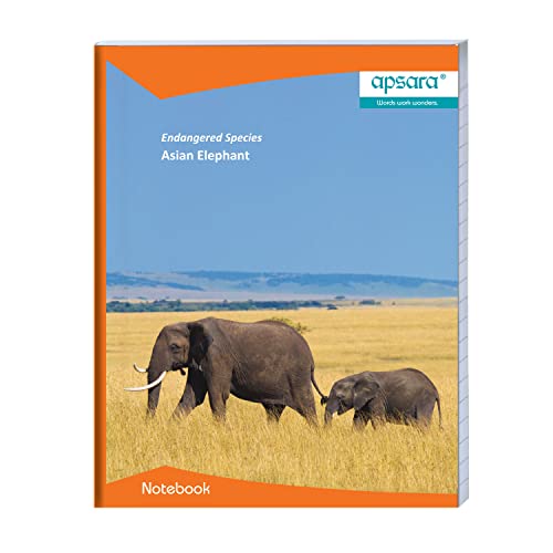Image of Apsara Kingsize Notebook | Blue Lines | Bright Paper |Center Staple | 24 x 18 cm | 172 Pages | Single Line | Pack of 12