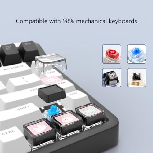 Touches transparentes pour clavier personnalisé et setup gaming
