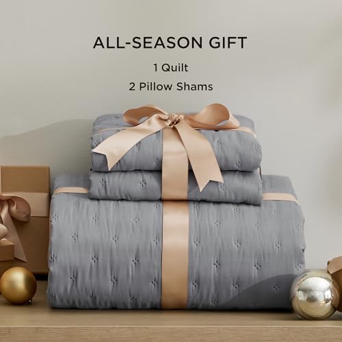 image for Bedsure Quilts Queen Size - Ultra Soft Queen Quilt Bedding for Modern 