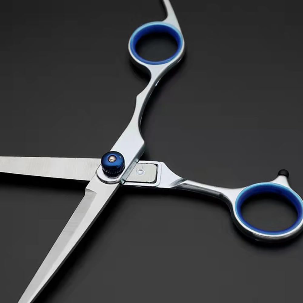 Friseurschere, Geteilte Friseurschere, Haarschere für die Praxis von Schülern für den Heimgebrauch