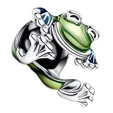 ZURWTCH Fit Women Bracelet Necklaces Fashion Gifts 925 Sterling Silver DIY Jewelry (Climbing Frog Charm 1001)