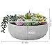 MyGift 8 Inch Round Modern Artificial Succulent Arrangement Potted in Gray Concrete Plant Bowl, Assorted Faux Mini Succulents in a Decorative Planter Pot