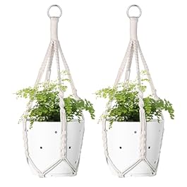 garini Macrame Plant...