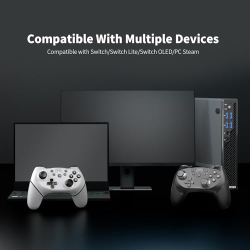 AceGamer Wireless Controller for Nintendo Switch/Lite/OLED, 2 pack, Dual Vibration/Turbo/Ergonomic ! (Black&White)