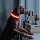 Illumifun Leuchthalsband Hund Aufladbar LED Hundehalsband Wasserdichtes Leuchthalsband für kleine und große Hunde, Hundelichter für nächtliche Spaziergänge (Rot, Große)