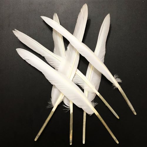 White Feathers 30PCS Natural Long Goose Feather,10-12in Bulk Left and Right Wing Feathers for Crafts,Party Decoration,DIY Fabricating Handicraft Article (White)
