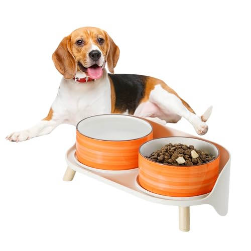 Comedero Perro Elevado Ceramica Doble - Juego de Cuenco Perro Espiral con Soporte Antisalpicaduras - Comederos Perros para Comida y Agua - Apto para Perros Pequeños y Medianos - 2 x 650 ml - Naranja