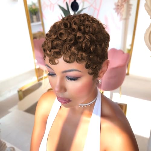 SAEIALL Short Pixie Cut Wig for Women Human Hair Curly Wave Pixie Wigs for Black Women None Lace Front Glueless Wig for Daily Use,Christmas,Short Wigs for Women Human Hair (Brown)