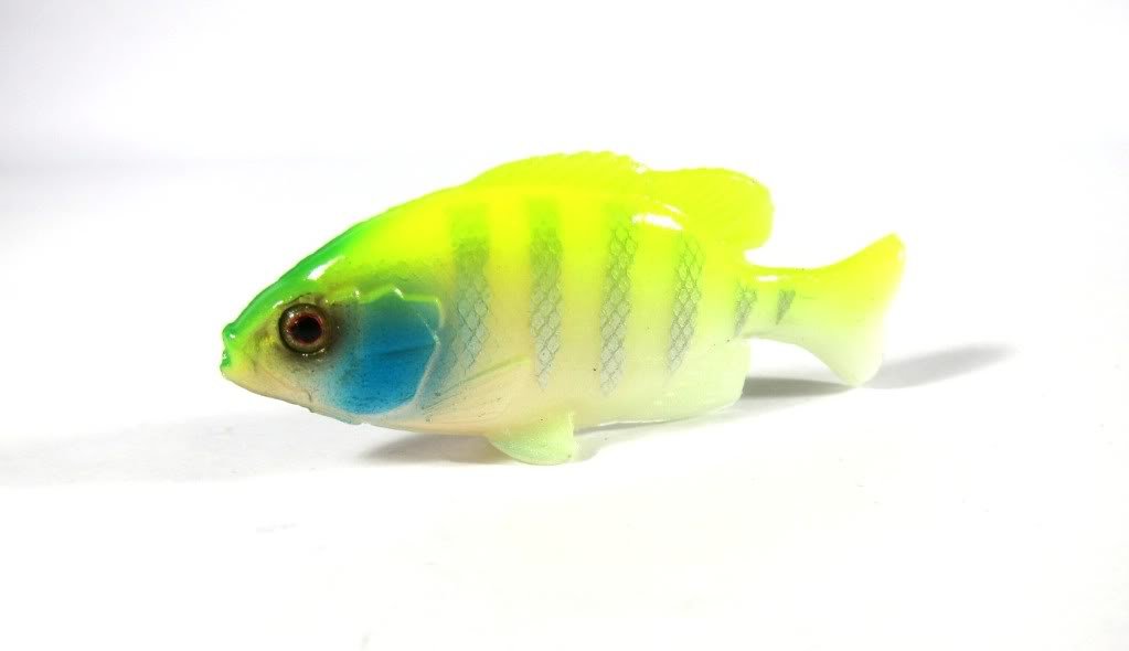 クローンギル まさに本物、クローンギル。 - FRESH WATER バス釣り ｜JACKALL