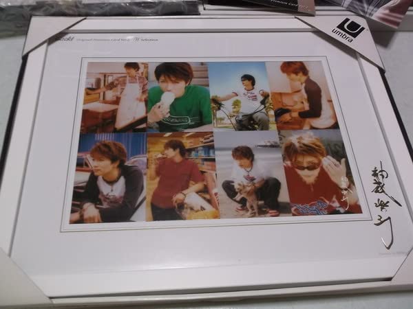 GACKT フレーム入りアート Amazon.co.jp: ガクト Gackt プレミアムカード フレーム 額3点 +